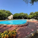 Rent 2 bedroom apartment of 60 m² in Santa Teresa Gallura