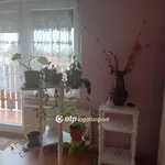 Rent 1 bedroom house of 25 m² in Debrecen