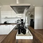 Rent 1 bedroom apartment of 133 m² in Dusseldorf