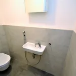 Rent 3 bedroom apartment of 71 m² in Prague