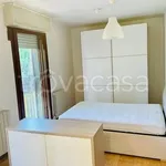 Rent 1 bedroom apartment of 45 m² in Ponte San Pietro