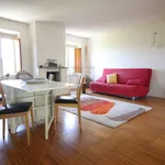 Rent 4 bedroom apartment of 80 m² in Lucca