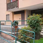 Rent 3 bedroom apartment of 72 m² in Roma