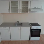 Rent 2 bedroom apartment of 50 m² in Brno