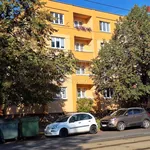 Rent 2 bedroom apartment of 56 m² in Ostrava