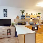 Rent 2 bedroom apartment in Pilsen