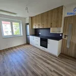 Pronájem bytu 2+1 55m²