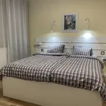 Rent 1 bedroom apartment of 52 m² in Prague