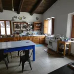 Rent 4 bedroom house of 163 m² in Urbino