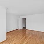 Rent 3 bedroom apartment in Basel