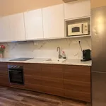 Pronajměte si 1 ložnic/e byt o rozloze 73 m² v Prague