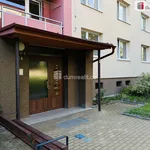 Rent 1 bedroom apartment of 30 m² in Kyjov