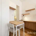 Rent 2 bedroom apartment in Praha 3