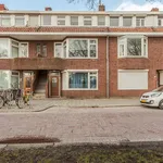 Rent 2 bedroom apartment of 24 m² in Groningen