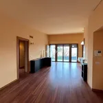 Rent 3 bedroom apartment of 100 m² in Settimo Milanese