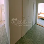 Rent 1 bedroom apartment in Králův Dvůr