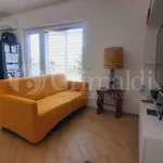 Rent 3 bedroom apartment of 75 m² in Roma