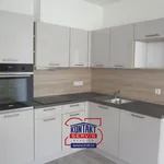 Rent 2 bedroom apartment of 57 m² in České Budějovice