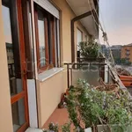 Rent 3 bedroom apartment of 105 m² in Padova