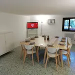 Rent a room in padua