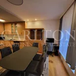 Rent 3 bedroom apartment of 76 m² in Zagreb