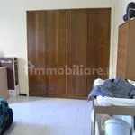 Rent 2 bedroom apartment of 50 m² in Novara