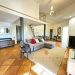 Rent 4 bedroom house of 130 m² in Roma