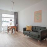 25 m² Studio in berlin