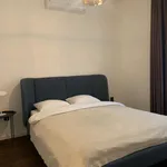 Rent 3 bedroom apartment of 195 m² in Budapest