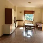 Rent 2 bedroom apartment of 55 m² in Rome