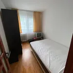 Rent 4 bedroom apartment in Iași