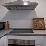 Rent 1 bedroom apartment in madrid