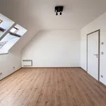 Huur 1 slaapkamer appartement in HALLE