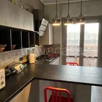 Rent 3 bedroom apartment of 97 m² in Torino