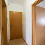 Rent 1 bedroom apartment in Lisbon