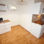 Rent 3 bedroom apartment in Liberec