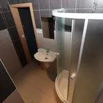 Rent 1 bedroom apartment in Sokolov