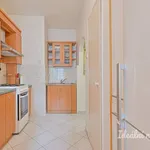 Rent 1 bedroom apartment of 38 m² in Brno