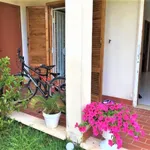 Rent 3 bedroom apartment of 65 m² in Anzio