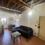 Rent 2 bedroom apartment of 50 m² in Figline Valdarno