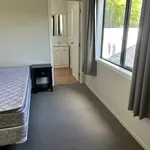 Rent 4 bedroom house in Hamilton City Central