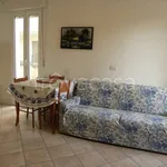 Rent 1 bedroom apartment of 48 m² in Riccione