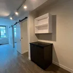 Rent 1 bedroom apartment of 55 m² in Manhattan