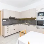 Pronajměte si 2 ložnic/e byt o rozloze 43 m² v tabor