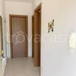 Rent 2 bedroom apartment of 45 m² in Zambrone