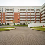 Rent 3 bedroom apartment of 50 m² in Łódź