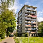 Rent 3 bedroom apartment of 66 m² in Delmenhorst