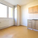 Rent 1 bedroom apartment in Plzeň