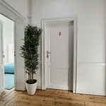 Rent 6 bedroom apartment in Saint-Gilles