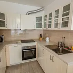 Pronajměte si 1 ložnic/e byt o rozloze 55 m² v Prague